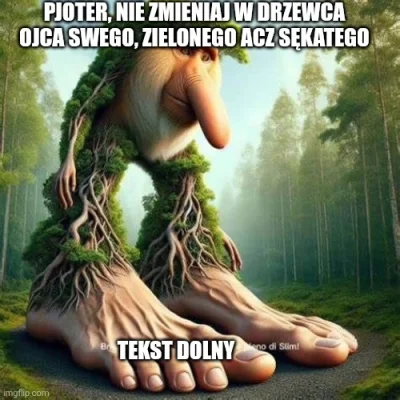 pieknylowca - #nosacz #polak #konkursnanajbardziejgownianymemznosaczem