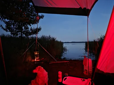 monky - Jak tam wariaty wasza Noc Kupały? Strzyga przybyła w wasze progi? Bo ja to ci...