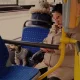 Pies-pasażer.