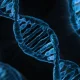 Geny odziedziczone po neandertalczykach powiązane z rozwojem autyzmu