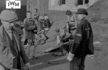 German Concentration Camps Factual Survey